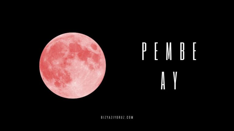 🌕 Gecenin Romantik Sırrı: Pembe Ay’ın Ardındaki Bilim ve Efsaneler